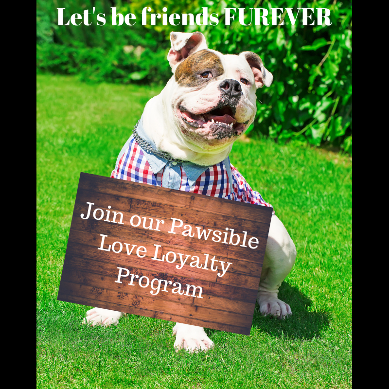 The Loyalty Program you actually want to be apart of!