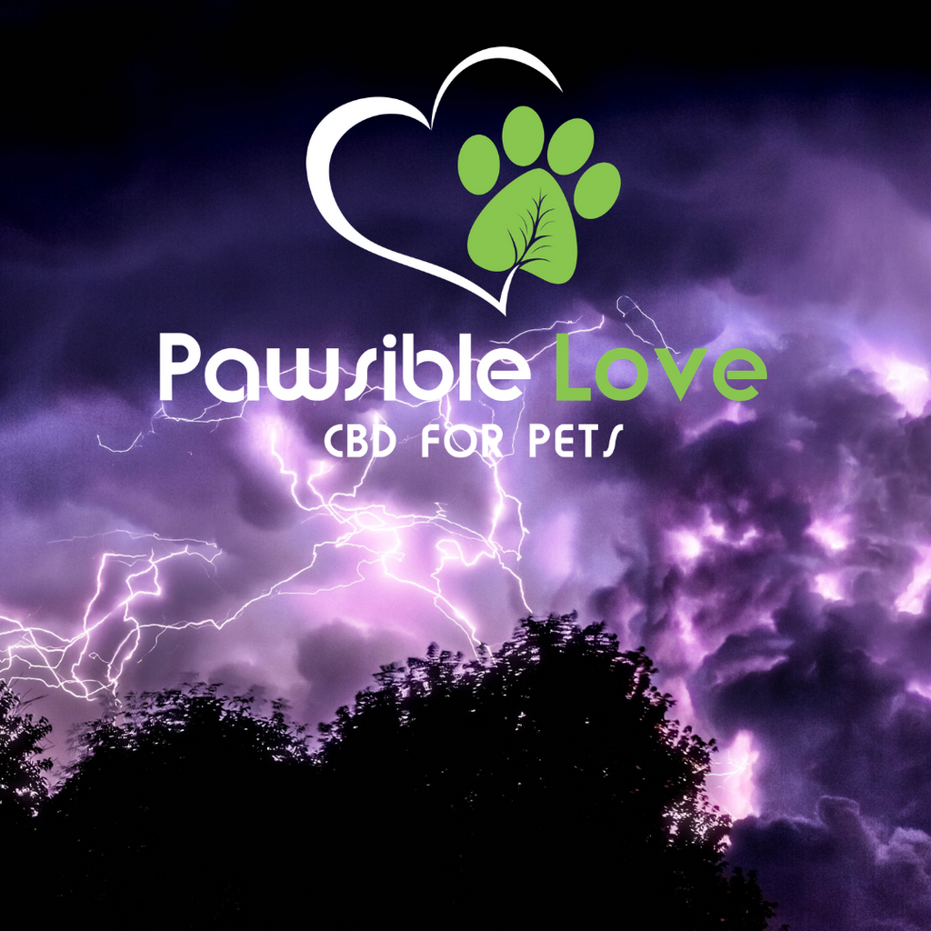 HELP! I’ve Tried Everything… Will Pawsible Love Help My Pet During a Thunderstorm?