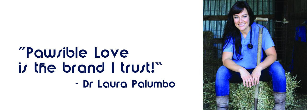 Dr Laura Polumbo